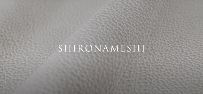 SHIRONAMESHI